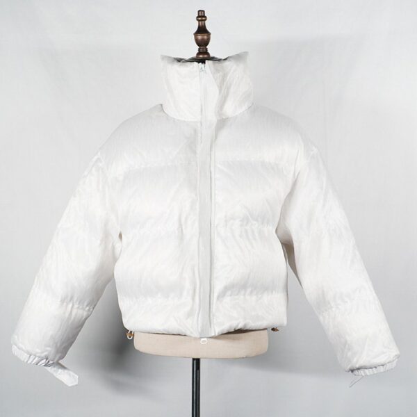 Shiny Puffer Jacket: Iridescent Ski Companion, Captivating Slope Style - Lumisonata - 图片 3