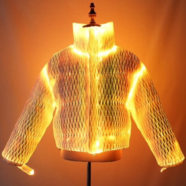 Shiny Puffer Jacket: Iridescent Ski Companion, Captivating Slope Style - Lumisonata - 图片 2