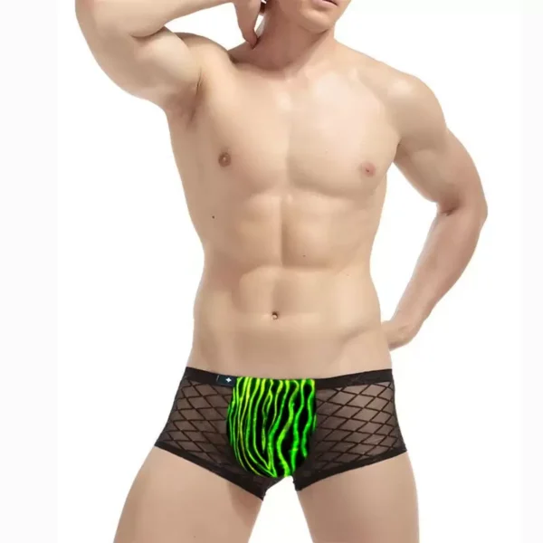 Sexy Panties For Men, Led Light Up Sexy Boxer Briefs Panties - Lumisonata - 图片 4