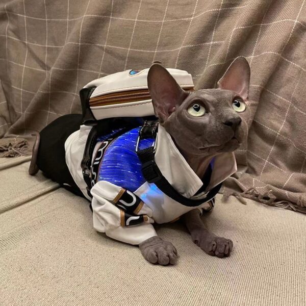 Light Up Pet Backpack, Matching Dog And Owner Shirts - Lumisonata - 画像 (3)